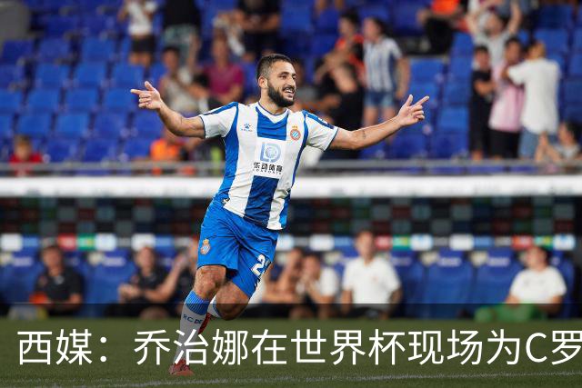 西媒：乔治娜在世界杯现场为C罗加油，同时推广自己的服装品牌